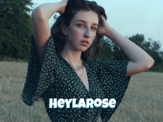 Heylarose