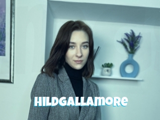 Hildgallamore