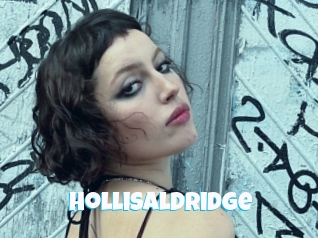 Hollisaldridge