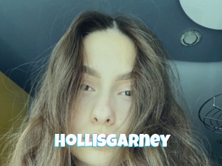 Hollisgarney