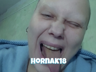 Hornak18
