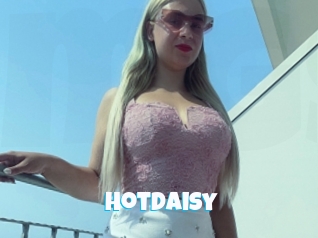 Hotdaisy