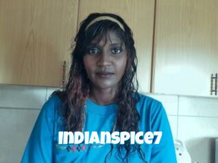Indianspice7