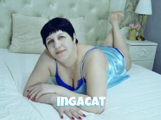 IngaCat