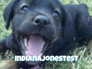 Indianajonestest