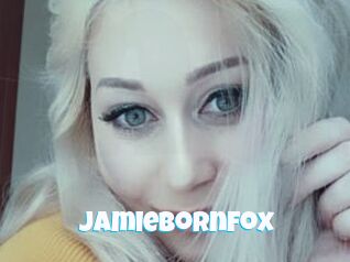 JamieBornfox
