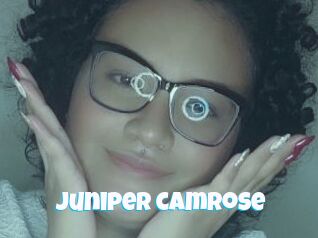 Juniper_camrose
