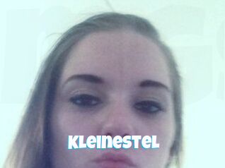 KleineStel