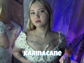 Karinacane