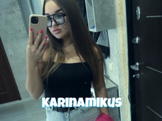 Karinamikus