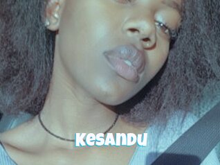 Kesandu