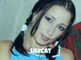 Lily_Cat_