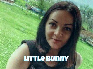 Little_Bunny_
