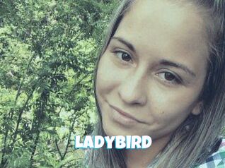 Ladybird