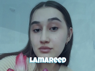 Lamareed