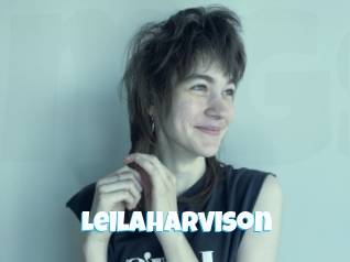 Leilaharvison