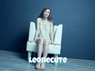 Leonecute