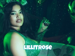 lillitrose Miss Gros Seins