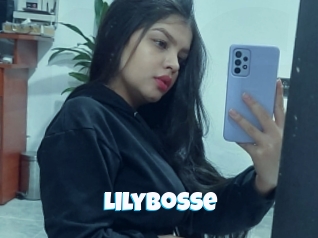 Lilybosse