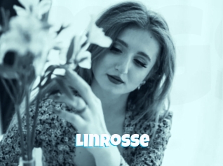 linrosse Miss Gros Seins