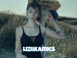 Lizhkamics