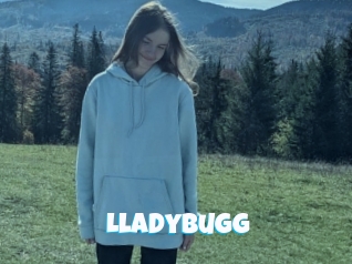 Lladybugg