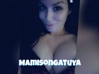 Mamisongatuya