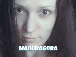 Mandragora