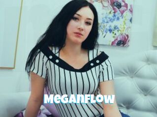 MeganFlow