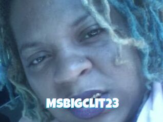 MsBigClit23