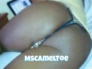 MsCamelToe