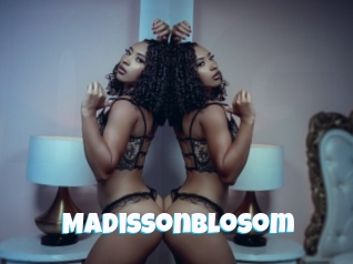 madissonblosom Miss Gros Seins