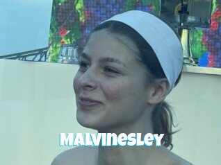 Malvinesley