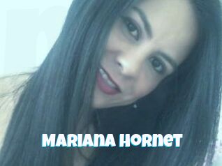 Mariana_hornet