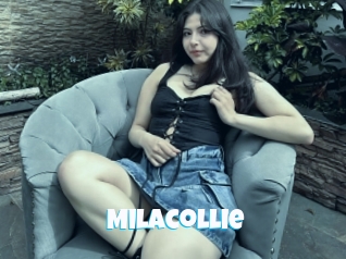 Milacollie