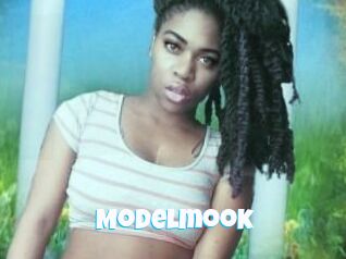 Modelmook