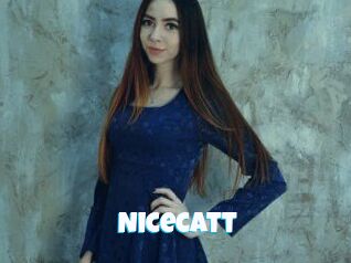 Nicecatt