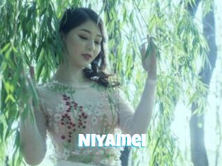 Niyamei