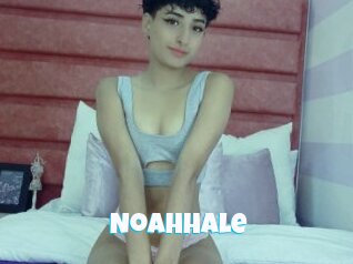 Noahhale