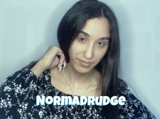 Normadrudge