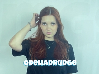 Odeliadrudge