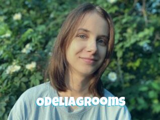 Odeliagrooms