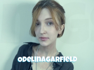 Odelinagarfield