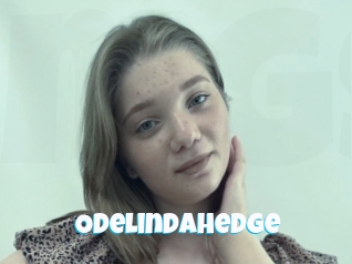 Odelindahedge