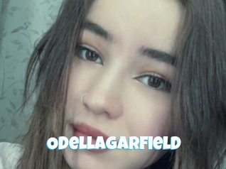 Odellagarfield