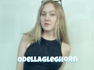 Odellagleghorn