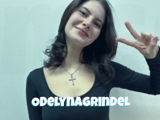 Odelynagrindel