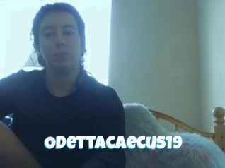 Odettacaecus19
