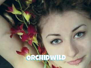 Orchidwild