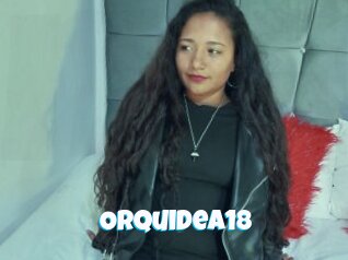 Orquidea18